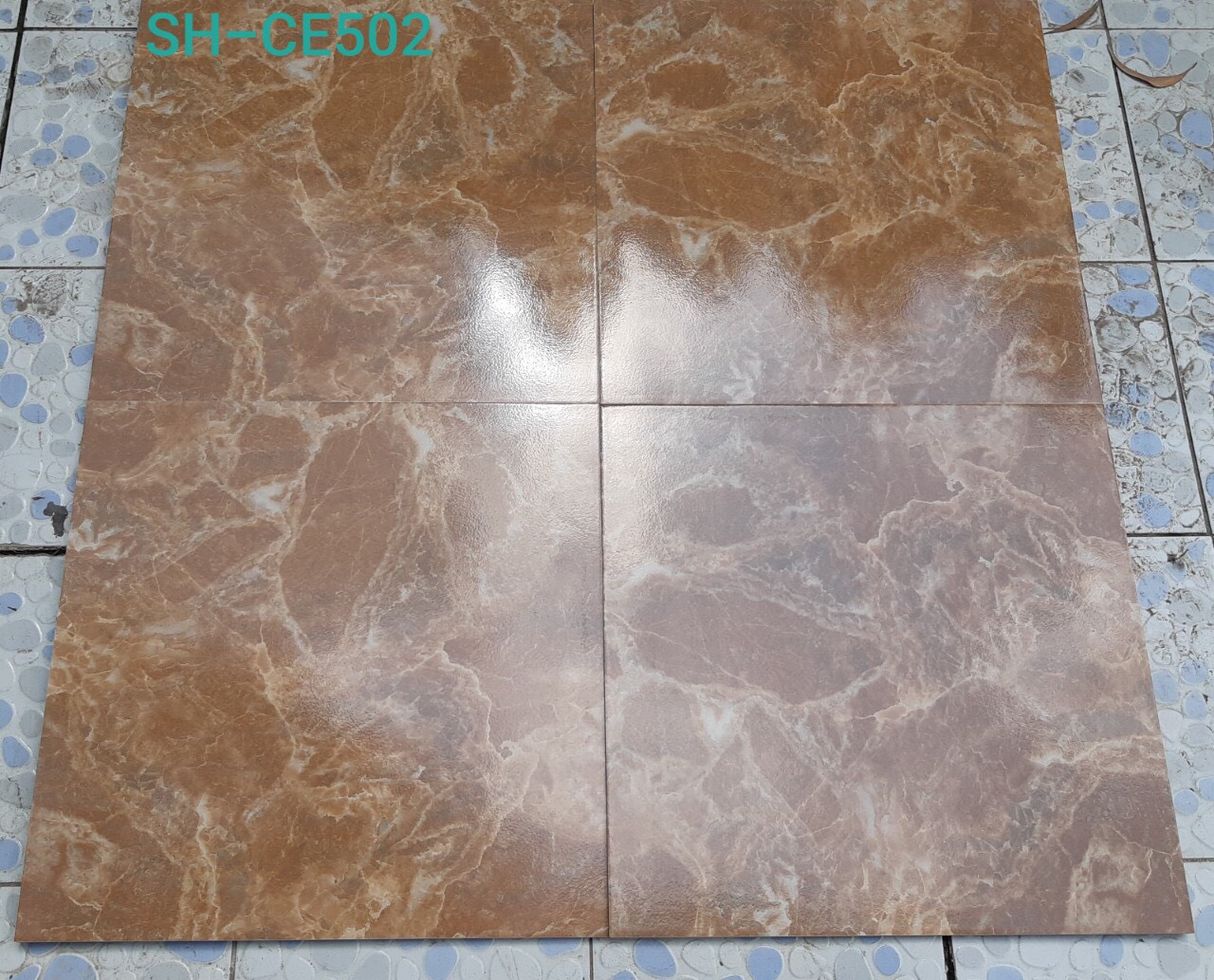 Gạch lát nền Viglacera 50×50 SH-CE-602