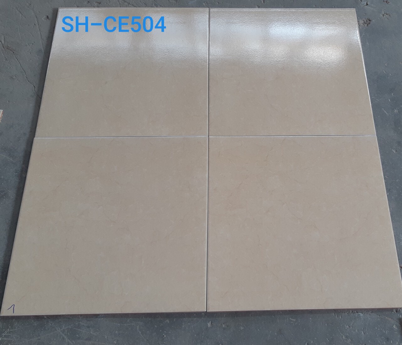 Gạch lát nền Viglacera 50×50 SH-CE-504