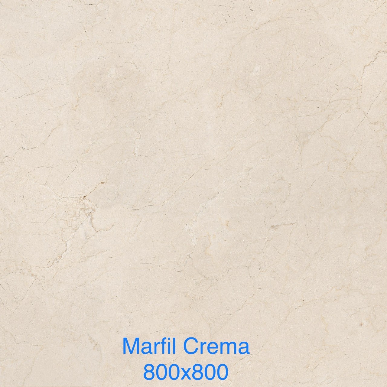Gạch lát 80×80 Ấn Độ ADD vàng nhạt vân rễ cây marfil crema