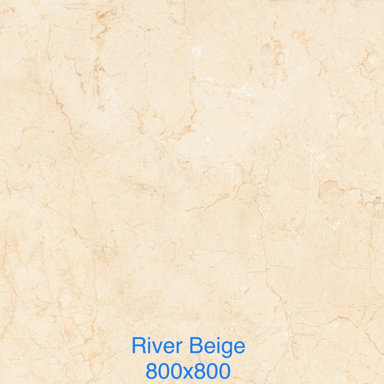 Gạch lát 80×80 Ấn Độ ADD men matt vàng vân rễ cây river beige