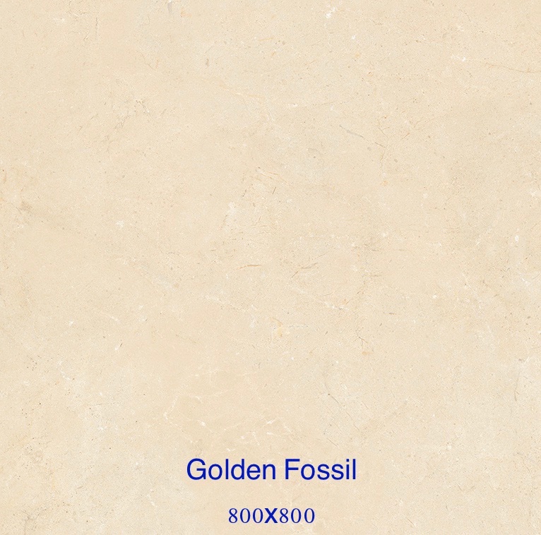Gạch lát 80×80 Ấn Độ ADD màu vàng vân rễ cây golden fossil